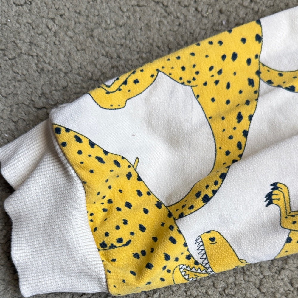 Mini Rodini Trex set - Picture 10 of 12